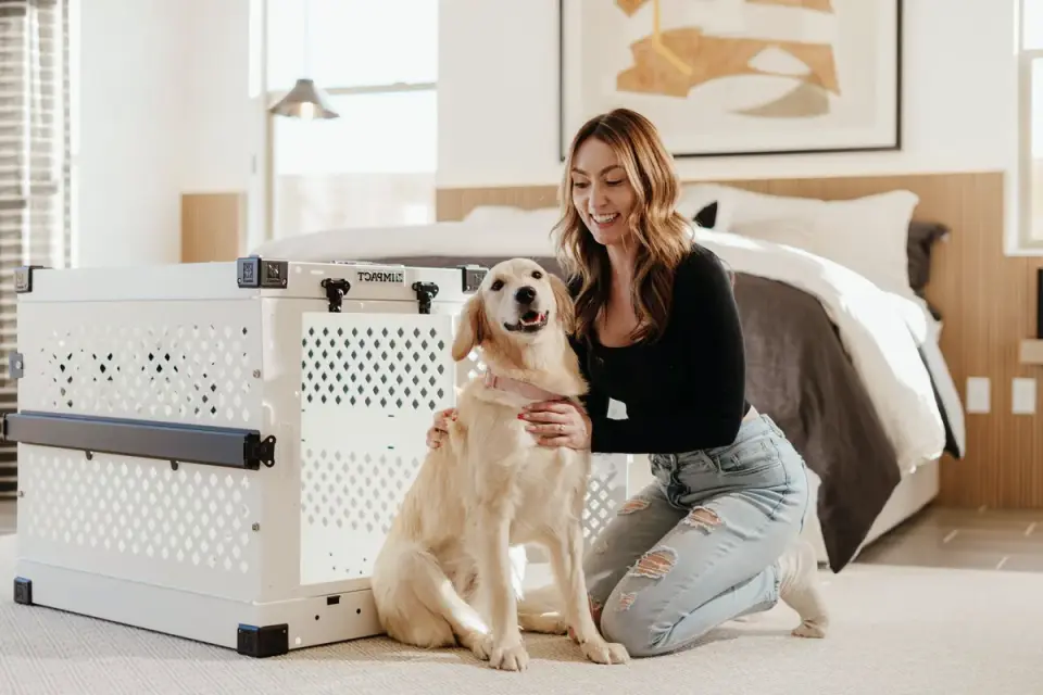 Owner checking a dog&#x27;s fit inside a soft carrier at home before a flight