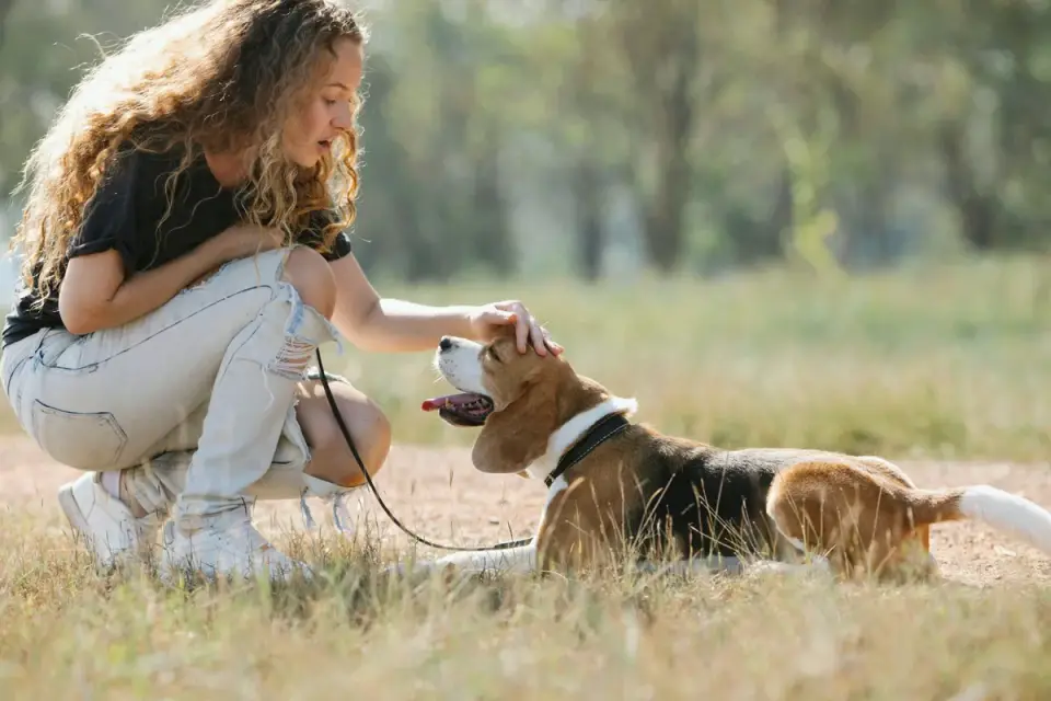 Owner offering a chew supplement to a calm dog at home